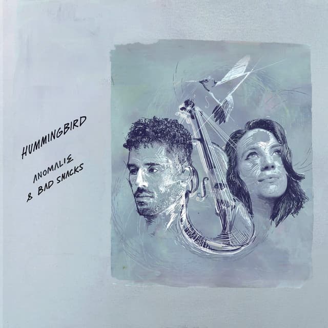Hummingbird cover art