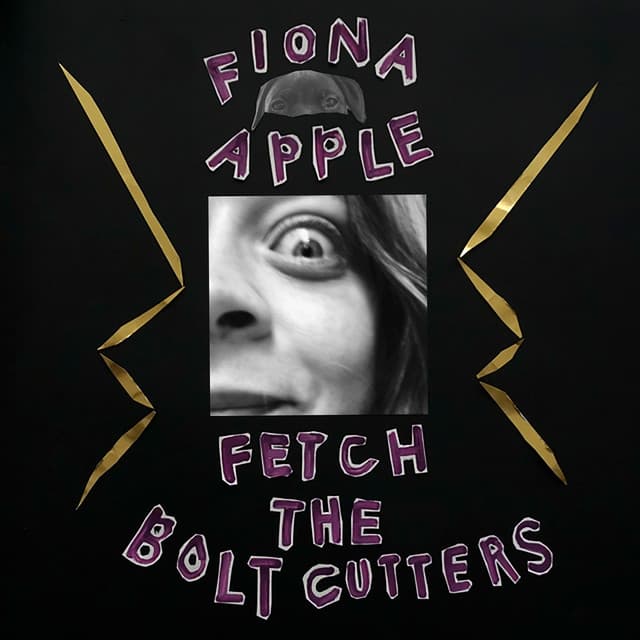 Fetch The Bolt Cutters cover art