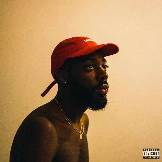 Gang Over Luv cover art
