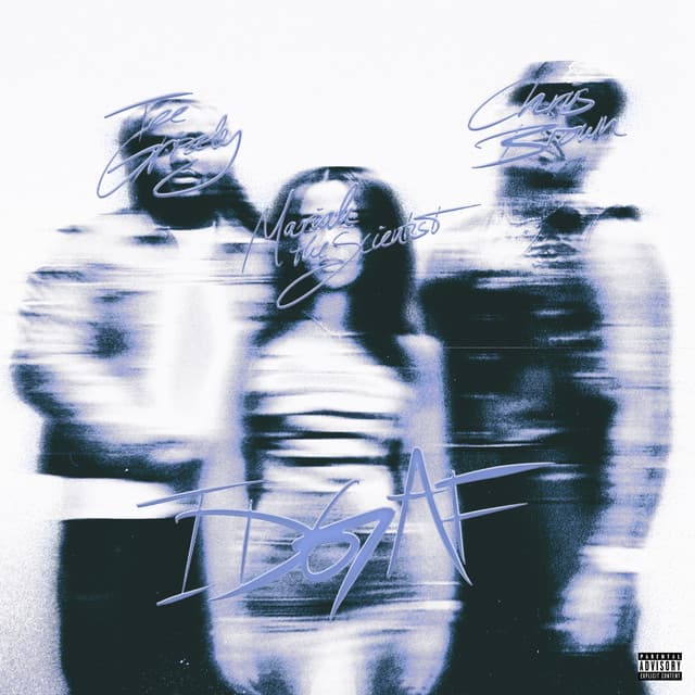 IDGAF (feat. Chris Brown & Mariah the Scientist) [Slowed Down] cover art