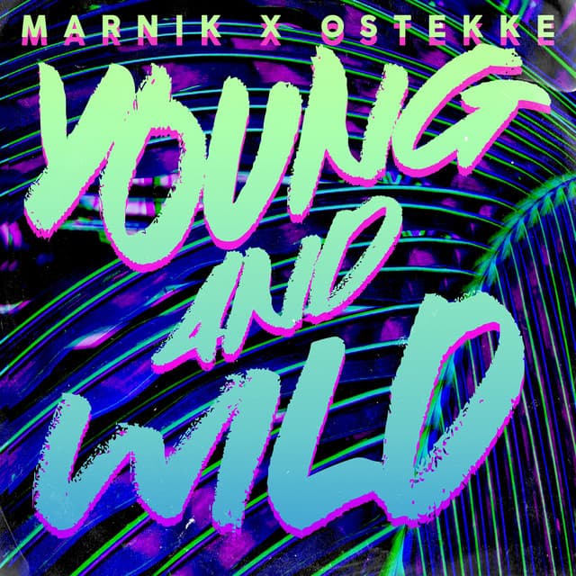 Young And Wild cover art