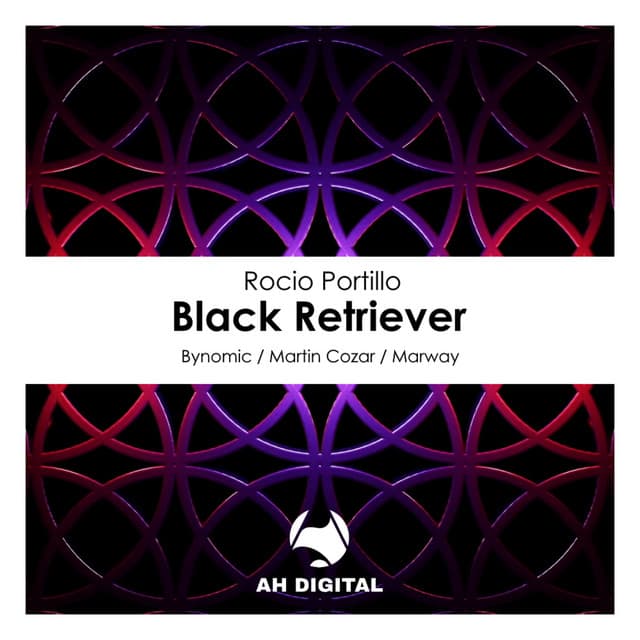 Black Retriever - Martin Cozar Remix cover art