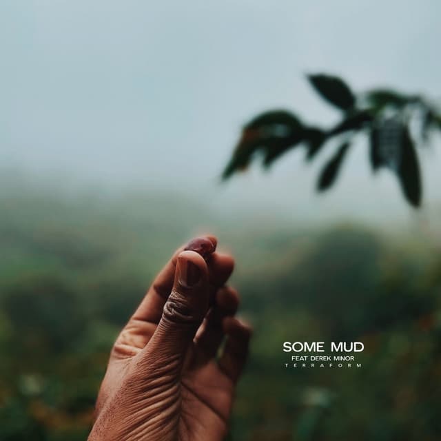 Some Mud Mud cover art