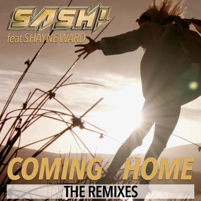 Coming Home - Massivedrum Remix cover art