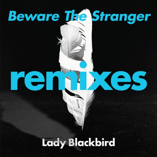 Beware The Stranger cover art