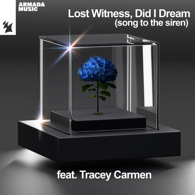 Did I Dream (Song To The Siren) cover art