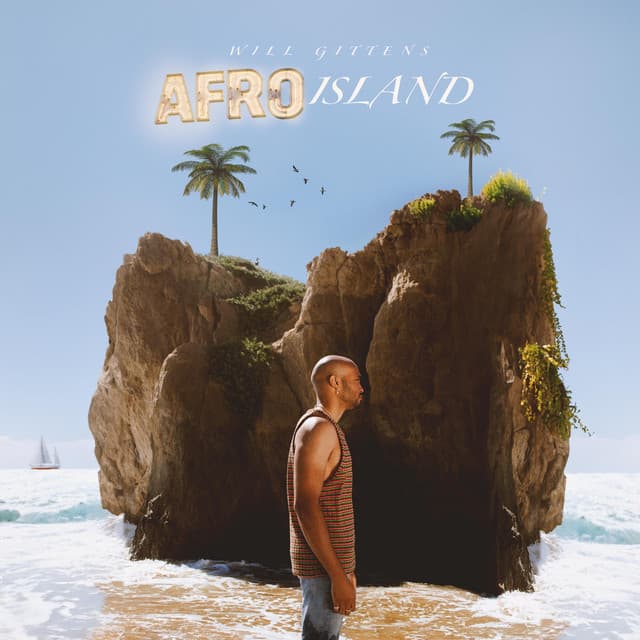 Afro Island cover art