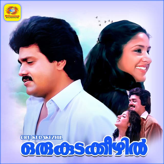 Anuragini cover art
