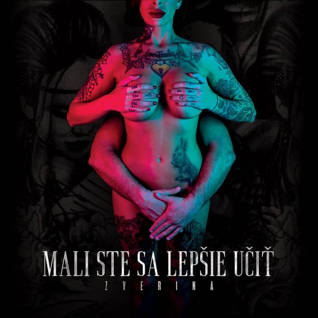 Blbí a Blbší cover art