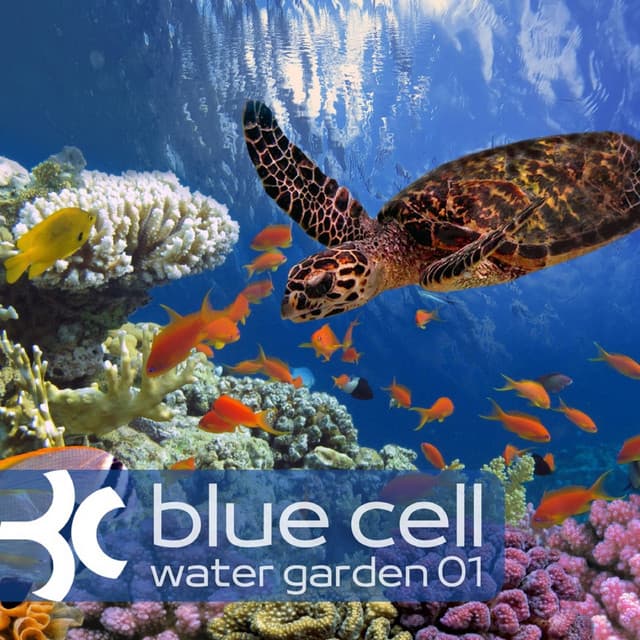 Water Garden 01 (DJ Mix) cover art