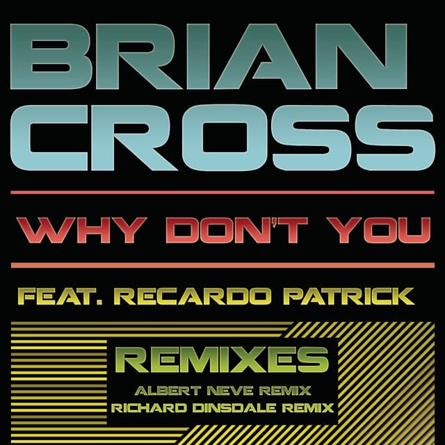 Why Don't You (feat. Recardo Patrick) cover art