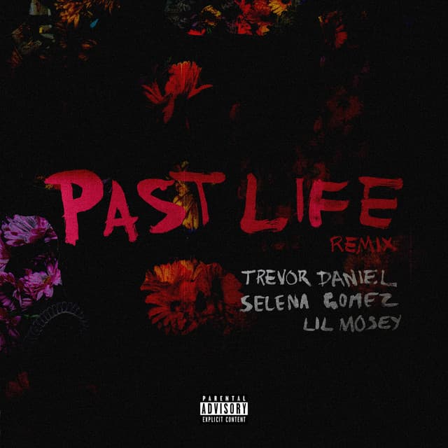 Past Life (with Selena Gomez & Lil Mosey) [Remix] cover art