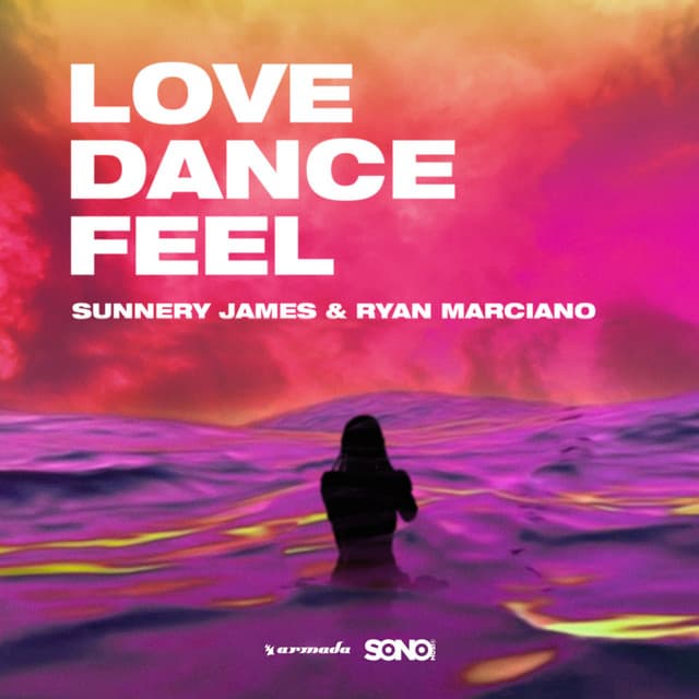 Love, Dance And Feel cover art