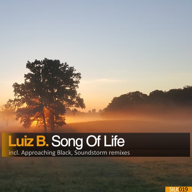 Song Of Life - Soundstorm Remix cover art