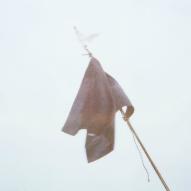 The Greeks - Polarsets Remix cover art