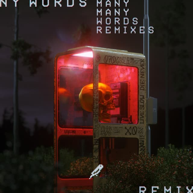 Many Words - Flaws X Droeloe Remix cover art