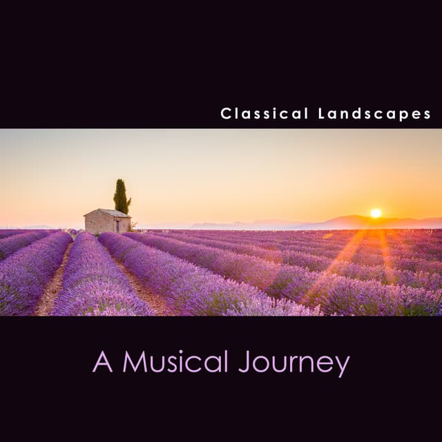Minuet in D, K.94 (Orch. Erik Smith) cover art