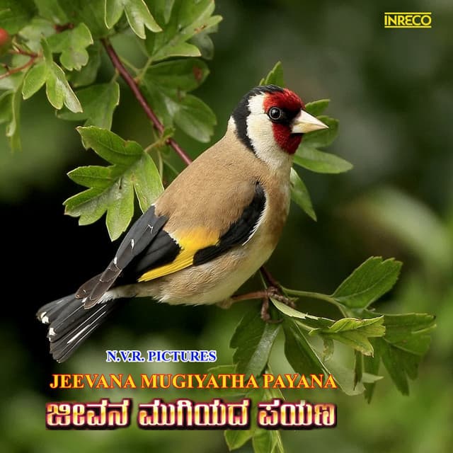 Jeevana Mugiyatha Payana cover art