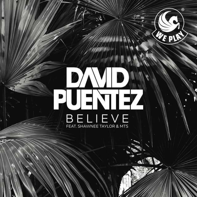 Believe (feat. Shawnee Taylor & MTS) - Radio Mix cover art