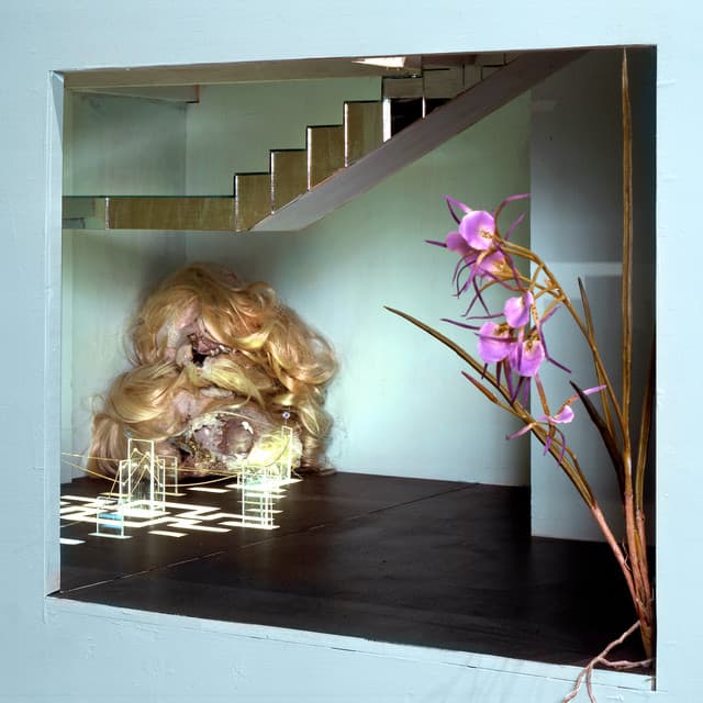 Accidental Enlightenment cover art