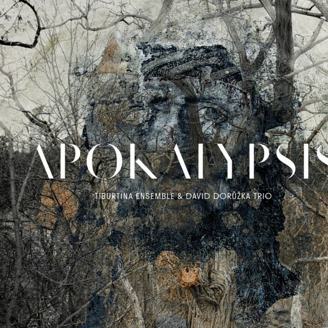 Apokalypsis (Codex Las Huelgas, Spanish Medieval Manuscript) cover art