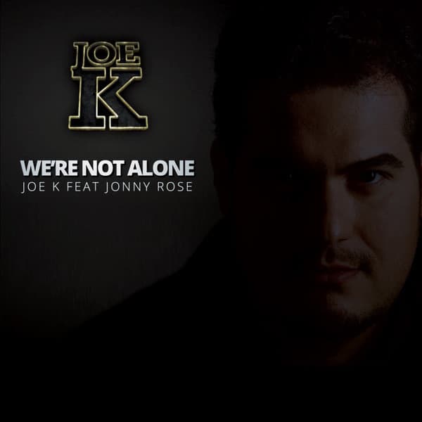 We're Not Alone - Radio Edit cover art