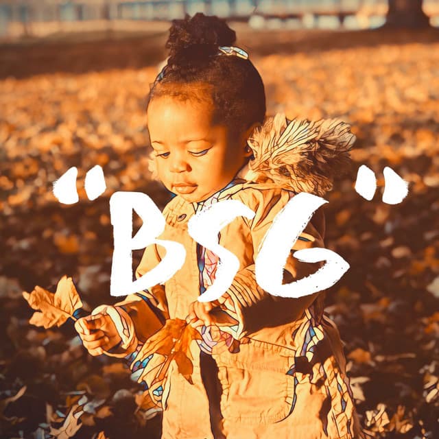 BSG cover art