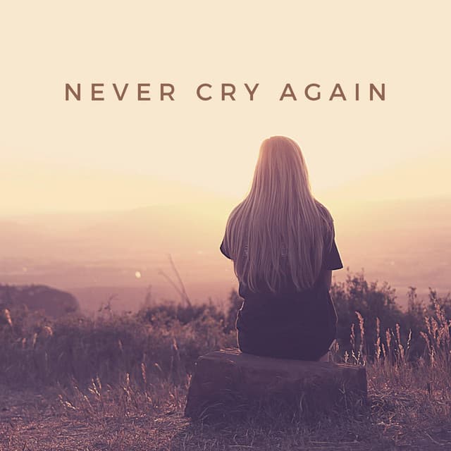 Never Cry Again - Pronti & Kalmani 4AM Extended Mix cover art