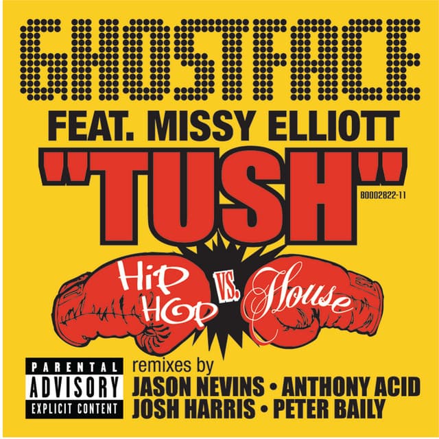 Tush - Josh Harris Vinyla Sky Dirty Radio cover art