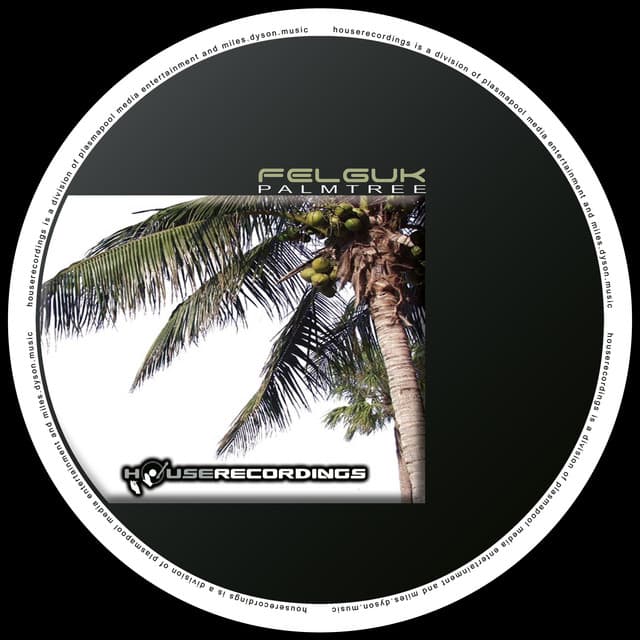 Palmtree - Electrixx Remix cover art