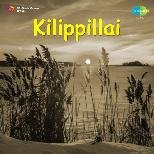 Ullathai Sonnaal cover art