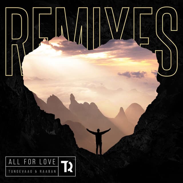 All For Love - Steerner Remix cover art