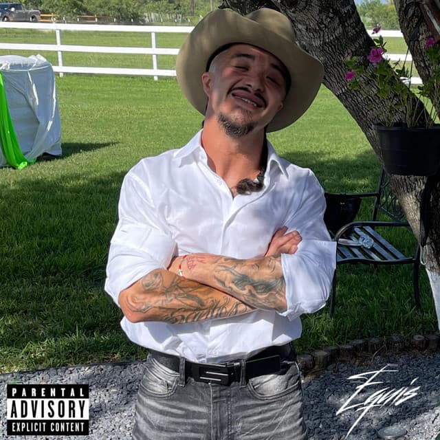 Te Metiste cover art