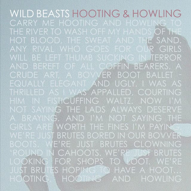 Hooting & Howling - Debukas Remix cover art