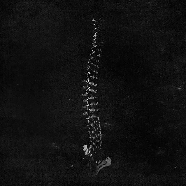 It’s all gonna bit wrong cover art