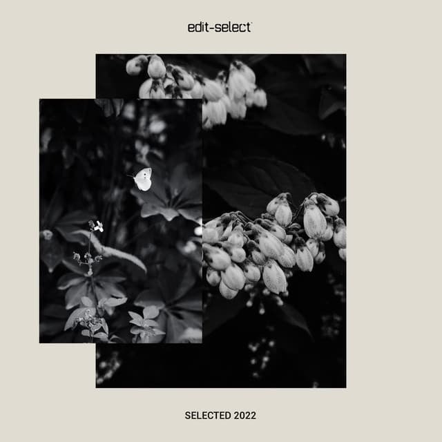 Cycles cover art