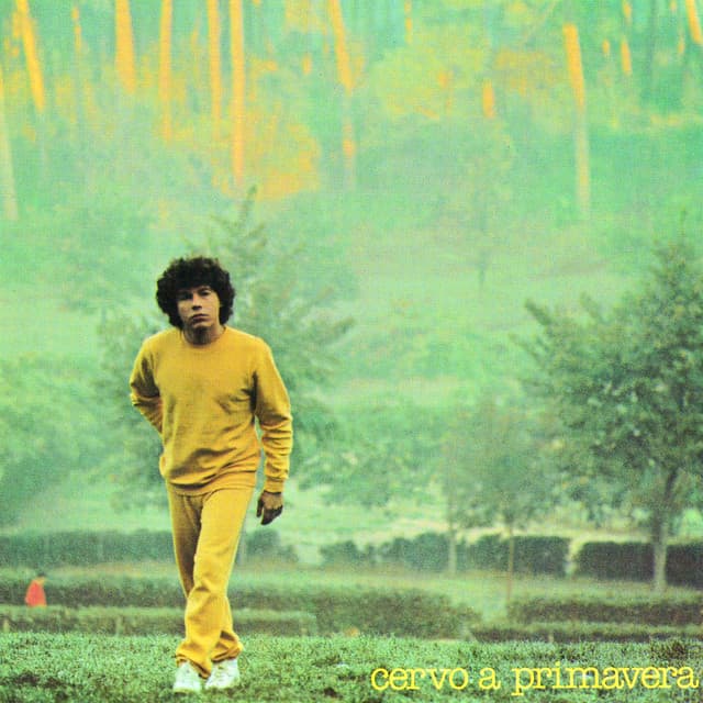 Cervo a primavera cover art