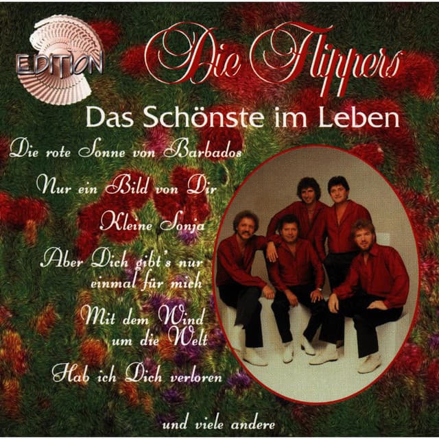 Nie kann ich vergessen cover art