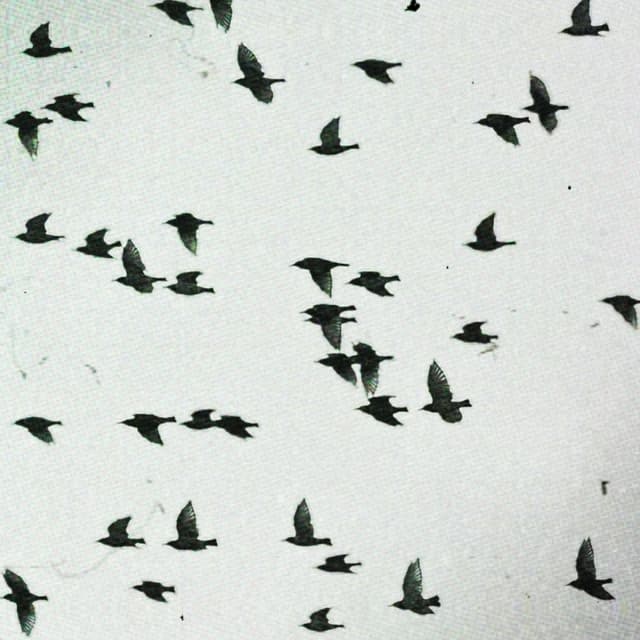 You and Only You cover art