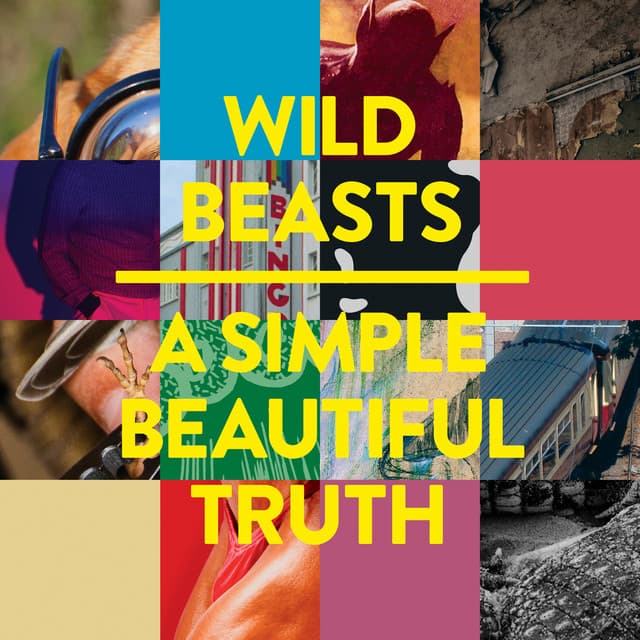 A Simple Beautiful Truth - East India Youth Remix cover art