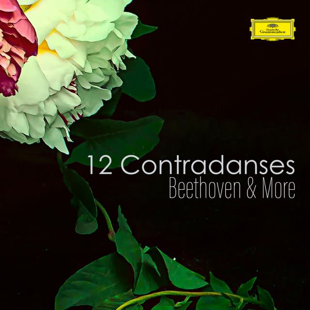 Suite No. 7 in D Minor, Z668: III. Hornpipe (From "The Married Beau", Z603/3) cover art
