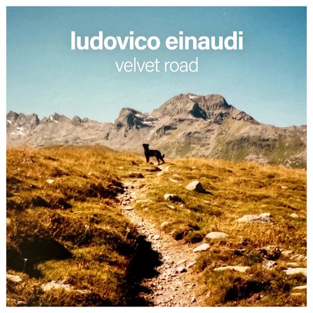 Velvet Road cover art