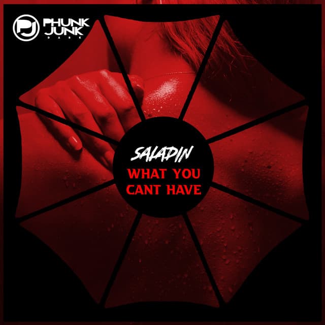What You Can't Have - BLK Out Remix cover art