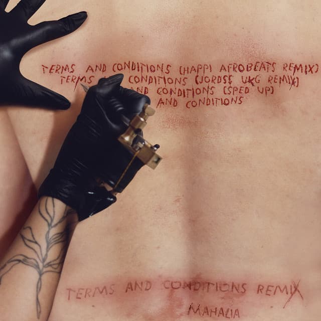 Terms and Conditions cover art