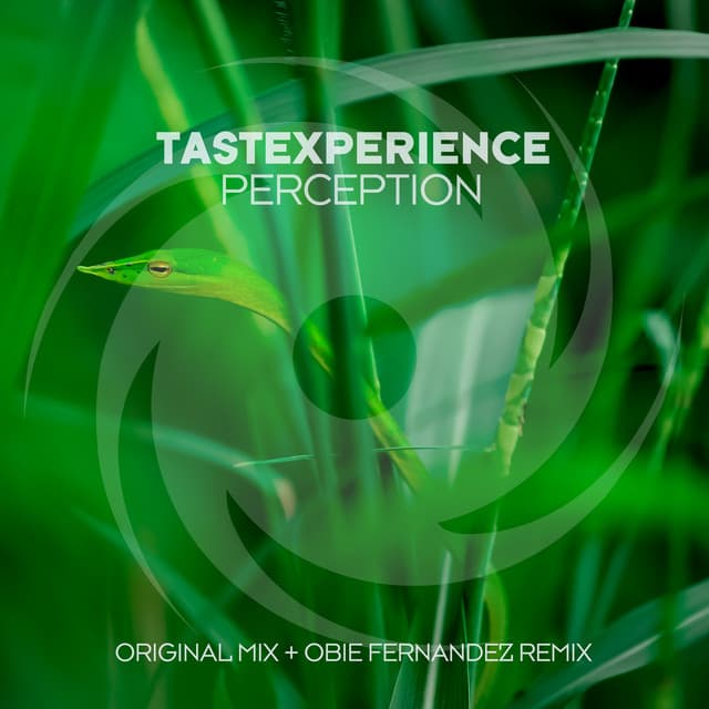 Perception - Obie Fernandez Remix cover art