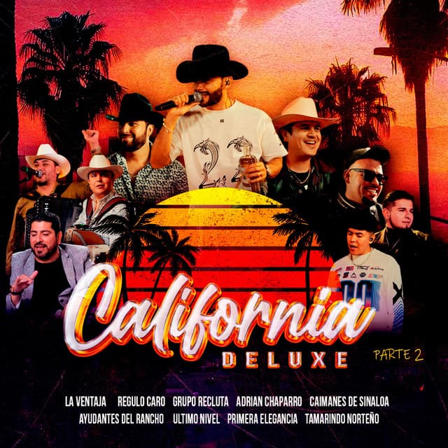 Salí Pal Norte - En Vivo cover art