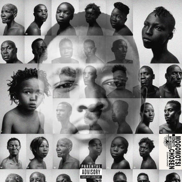 Shwele cover art