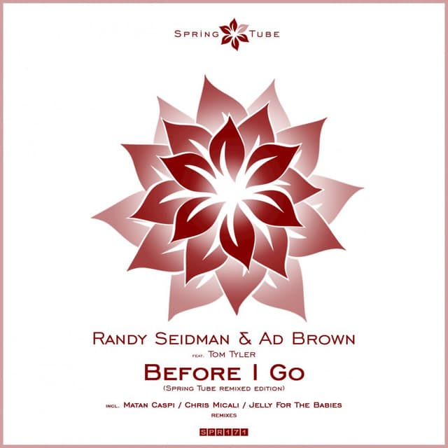 Before I Go - Chris Micali Moment Mix cover art