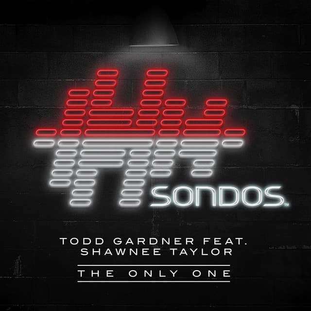 The Only One - Who's Drug Stripped Down Dub cover art
