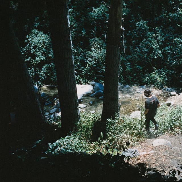 Wolves of Worry cover art